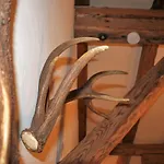 Haus Buchhammer Appartement *