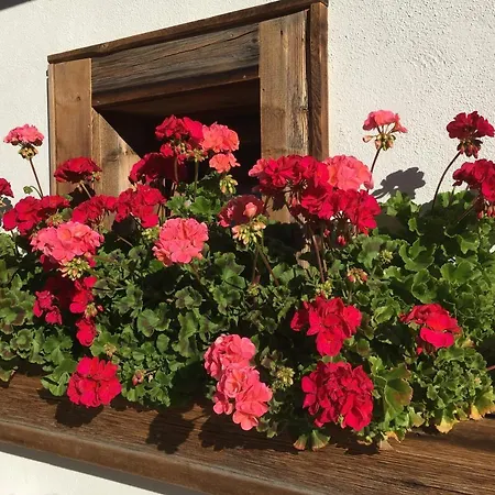 Haus Buchhammer * Sankt Anton am Arlberg