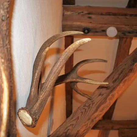 Haus Buchhammer Apartmán *